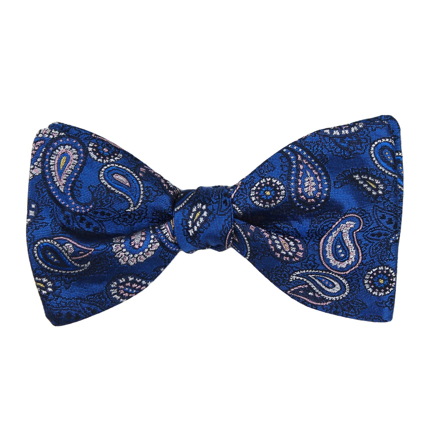 Blue Woven Paisley